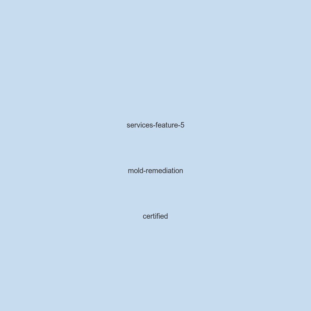 Mold remediation services